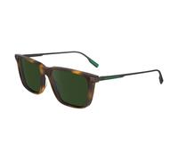 Lacoste Brown Acetate Sunglasses