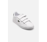 Lacoste - CARNABY SUC Bianco - Sneakers 32 Bianco