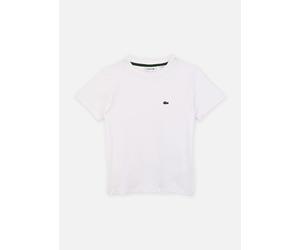 Lacoste - Core Tee Bianco - Abbigliamento 12A Bianco