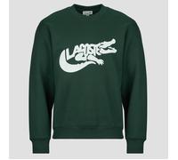 Lacoste Felpe Sweatshirt en molleton imprimé in Verde EU L