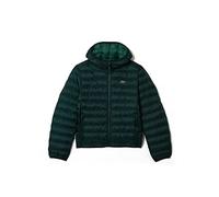 Lacoste Giacca da uomo, Sinople, 50