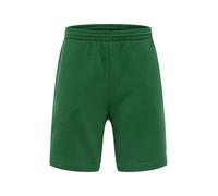LACOSTE Pantaloni verde scuro / rosso sangue / bianco Uomo LACOSTE 28-30
