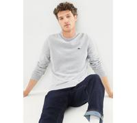 Lacoste - Pull à col rond en coton Grigio - Abbigliamento XXL Grigio