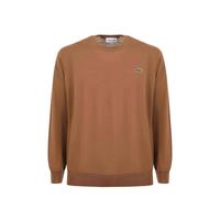 Lacoste Pullover girocollo in lana Marrone Chiaro-DPC da Uomo IV / M Marrone