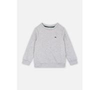 Lacoste - Sweatshirt enfant SJ5284 Blu - Abbigliamento 4A Blu