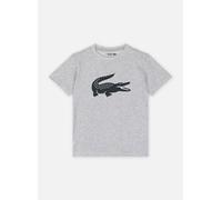 Lacoste - Tee-Shirt enfant TJ2910 Multicolore - Abbigliamento 12A Multicolore