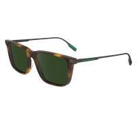 Lacoste Uomo L6017S 214 Occhiali da sole Acetato Havana Verde Squadrata Normale Normale