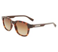 Lacoste Uomo L966S 230 Occhiali da sole Plastica Havana Marrone Squadrata Sfumato
