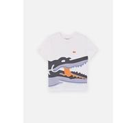 Lacoste - Watercolor Croc Tee Bianco - Abbigliamento 10A Bianco