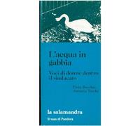L'acqua in gabbia. Voci di donne dentro il sindacato