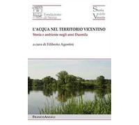 L'acqua nel territorio vicentino. Storia e ambiente negli anni Duemila