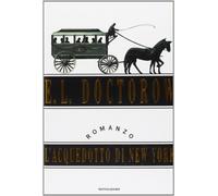 L'acquedotto di New York