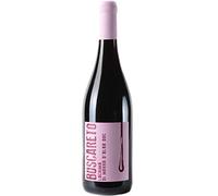 Lacrima di Morro d'Alba DOC | Cantina Conti di Buscareto | Annata 2018