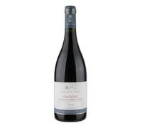 Lacrima Di Morro D'Alba DOC Superiore Orgiolo 2020 Marotti Campi - Vini