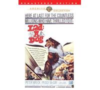 Lad : Un Cane DVD 1962 Peter Breck , Peggy Mccay , Carroll o'Connor Angela