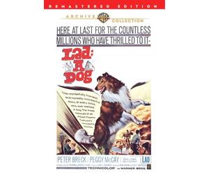 Lad : Un Cane DVD 1962 Peter Breck , Peggy Mccay , Carroll o'Connor Angela
