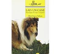 Lad: un cane. Purosangue di corpo e di spirito