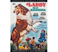 Laddy alla riscossa (DVD)
