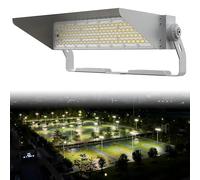 LADECNERHT Proiettore LED per Esterni da Stadio 250w~1250w, 150LM/W, Ac100~277v, 6500k, Grado di Protezione IP66, Angolo di Illuminazione più Ampio per Campi Sportivi E Campi da Gioco Gray-250W