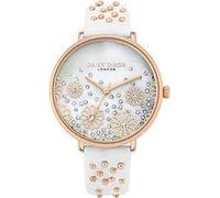 Ladies' Watch Daisy Dixon DD111WRG (Ø 38 mm)