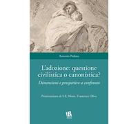L'adozione: questione civilistica o canonistica? Dimensioni e prospettive a confronto