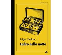 Ladro nella notte