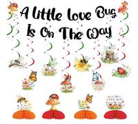 Lady Bug Baby Shower Set a spirale a nido d'ape A Little Bug is on the Way Banner con scarabeo coccinella ghirlanda vortici da appendere, decorazioni a tema insetti per baby shower per ragazzi ragazze