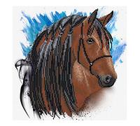 Ladybird Stickset Stallion Groom, set per punto croce di circa 30,5 x 30,5 cm, set completo per un ricamo angolare, passatempo artigianale per adulti e bambini a partire dagli 8 anni di età