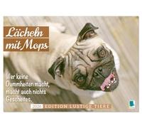Lächeln mit Mops (Wandkalender 2026 DIN A2 quer), CALVENDO Monatskalender: Heiter bis mopsig: ein Sprüchekalender gegen Perfektionismus und Selbstoptimierung