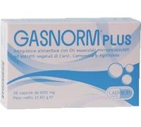 Laerbium Pharma – Capsule – Gasnorm Plus – 36 capsule (23,4 g)