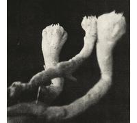 Läuten der Seele - Unterhaltungen mit Larven und Überresten [VINYL]