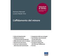 L' affidamento del minore