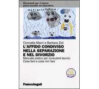 L'affido condiviso nella separazione e nel divorzio. Manuale pratico per consulenti tecnici. Cosa fare e cosa non fare. Con aggiornamento online
