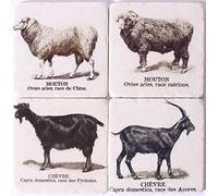 Lafinesse Em7094 - Sottobicchieri in pietra per caldo o freddo Em7094, in gres porcellanato