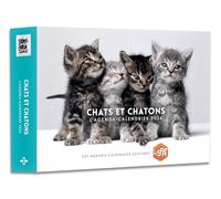 L'agenda-calendrier Chats et chatons