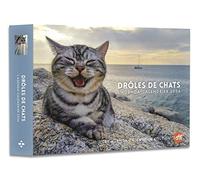 L'agenda-calendrier Drôles de chats