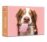 L'agenda-calendrier Drôles de chiens