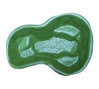 Giardini D'Acqua Laghetto Verde Da Giardino Modello Bracciano Per Pesci e Piante Vasca Artificiale 136 x 100 Capacità 220 Litri Preformato