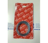 Lagostina 090003010209 Guarnizione Ø24cm per pentola a pressione