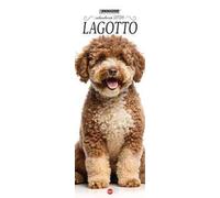 Lagotto. Calendario 2026. Long
