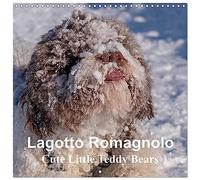Lagotto Romagnolo Cute Little Teddy Bears (Wall Calendar 2026 12" x 24" / 30 x 60 cm (aperto) Calvendo 12 Month Wall Calendar