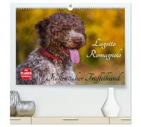 Lagotto Romagnolo - Italienischer Trüffelhund (hochwertiger Premium Wandkalender 2026 DIN A2 quer), Kunstdruck in Hochglanz: Die Trüffelsuchhunde Italiens auf 13 zauberhaften Fotos