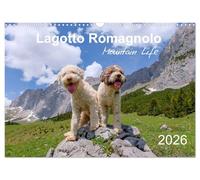 Lagotto Romagnolo Mountain Life (Wall Calendar 2026 DIN A3 landscape), CALVENDO 12 Month Wall Calendar: Italian truffle dogs enjoying the Alps in all seasons