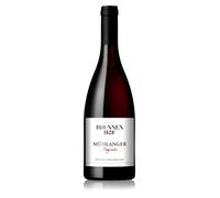 LAGREIN Muhlanger Alto Adige DOC Biologico 2022 - Brunnen Hof