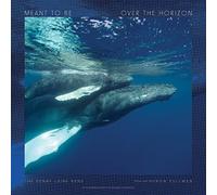 Ron Pullman Denny Laine Band With Special Guest Artist Ron Pullman (Vinyl LP)