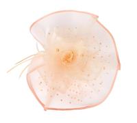 LAIOUSN Cappello classico anni '20 con piume fascinator cappello per donne evento sociale ideale per feste in giardino e sfilate di moda fasce per il tè