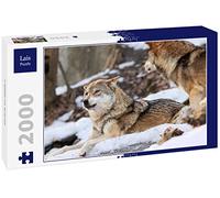 Lais Puzzle 2 Lupi nella Neve 2000 Pezzi