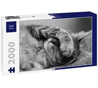 Lais Puzzle Gatto addormentato in bianco e nero 2000 pezzi