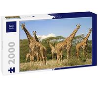 Lais Puzzle Giraffe 2000 pezzi