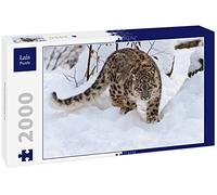 Lais Puzzle Leopardo delle nevi 2000 pezzi